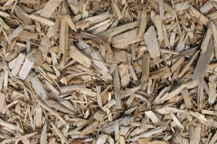 biomass boilers Ham